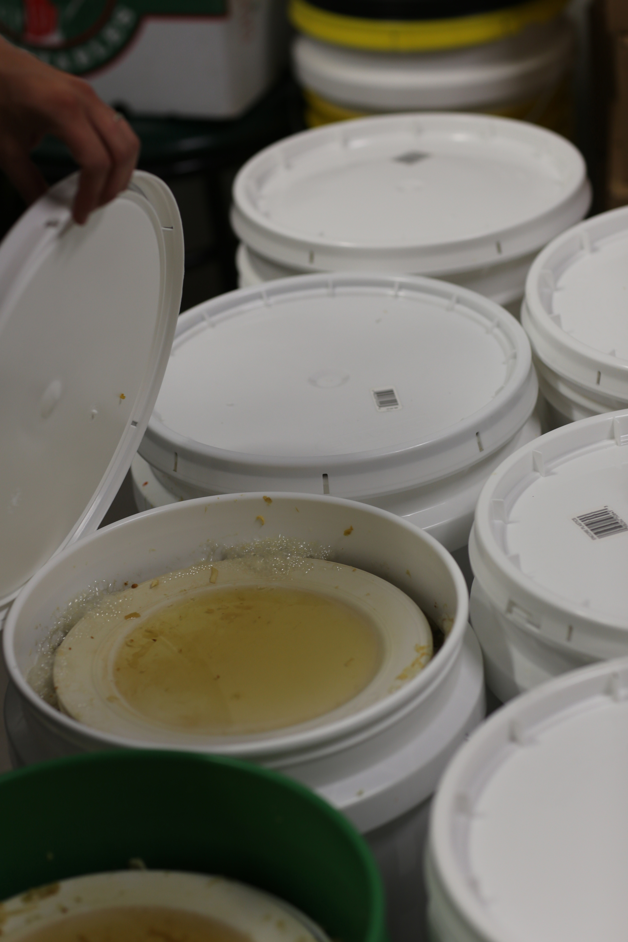 We couldn't help but peek at the next batch.