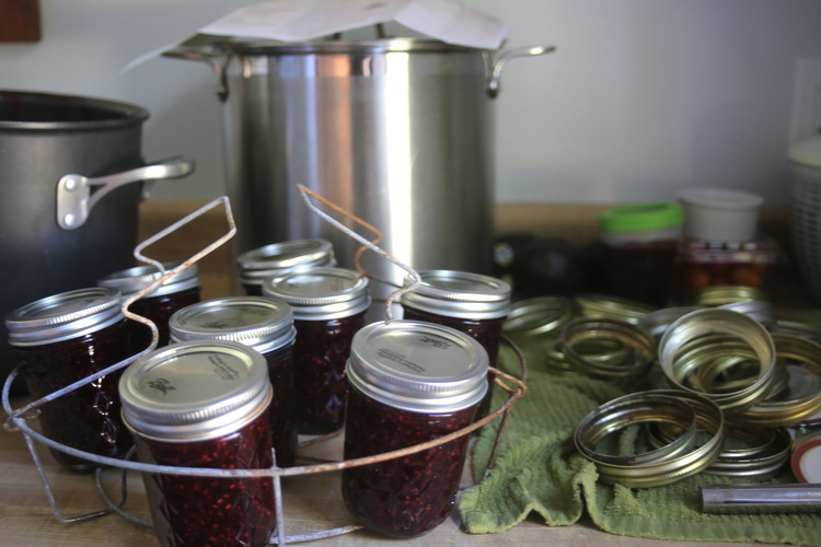 For a longer seal, put the jars in your holder and boil.