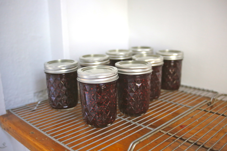 Once cooled, hand them out to your friends, or hoard them away for yourselves! We don't judge :)
