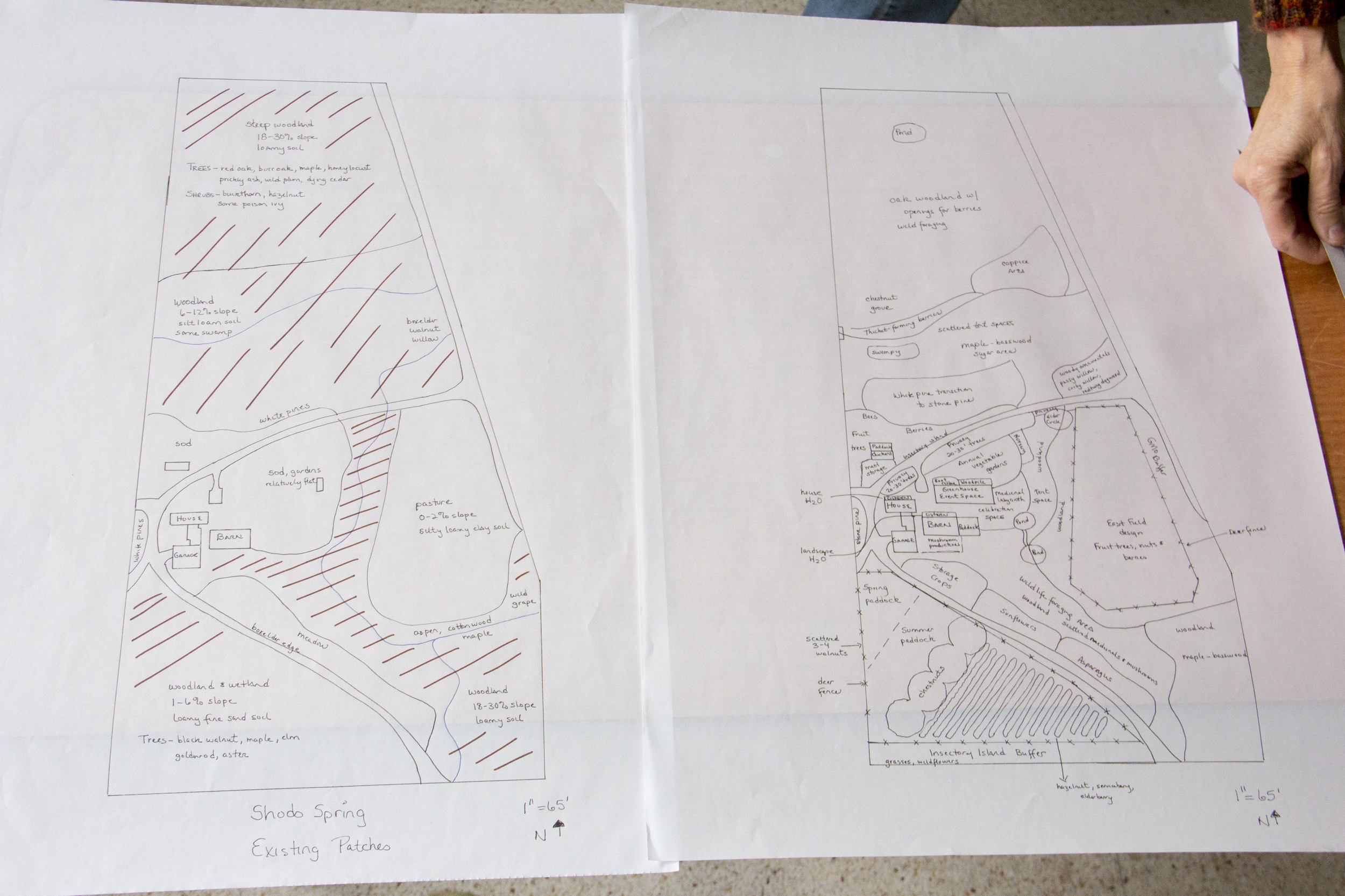 Hand drawn designs created by Ecological Gardens depict a site analysis of existing conditions and landscape designs for a prospective client.