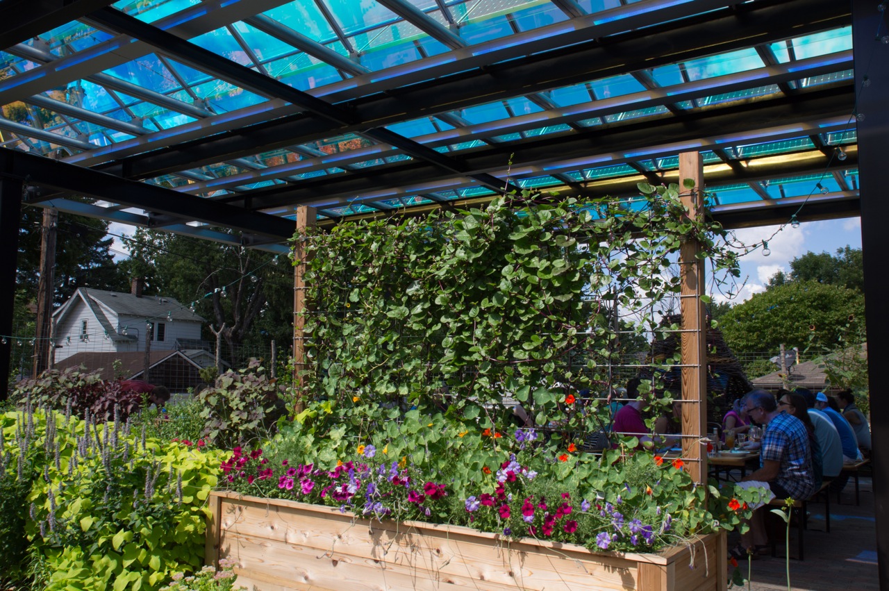 An Ecological Gardens designed edible flower and vegetable garden surrounds the Tiny Diner Restaurant's outdoor patio in South Minneapolis. Photo provided by Ecological Gardens 