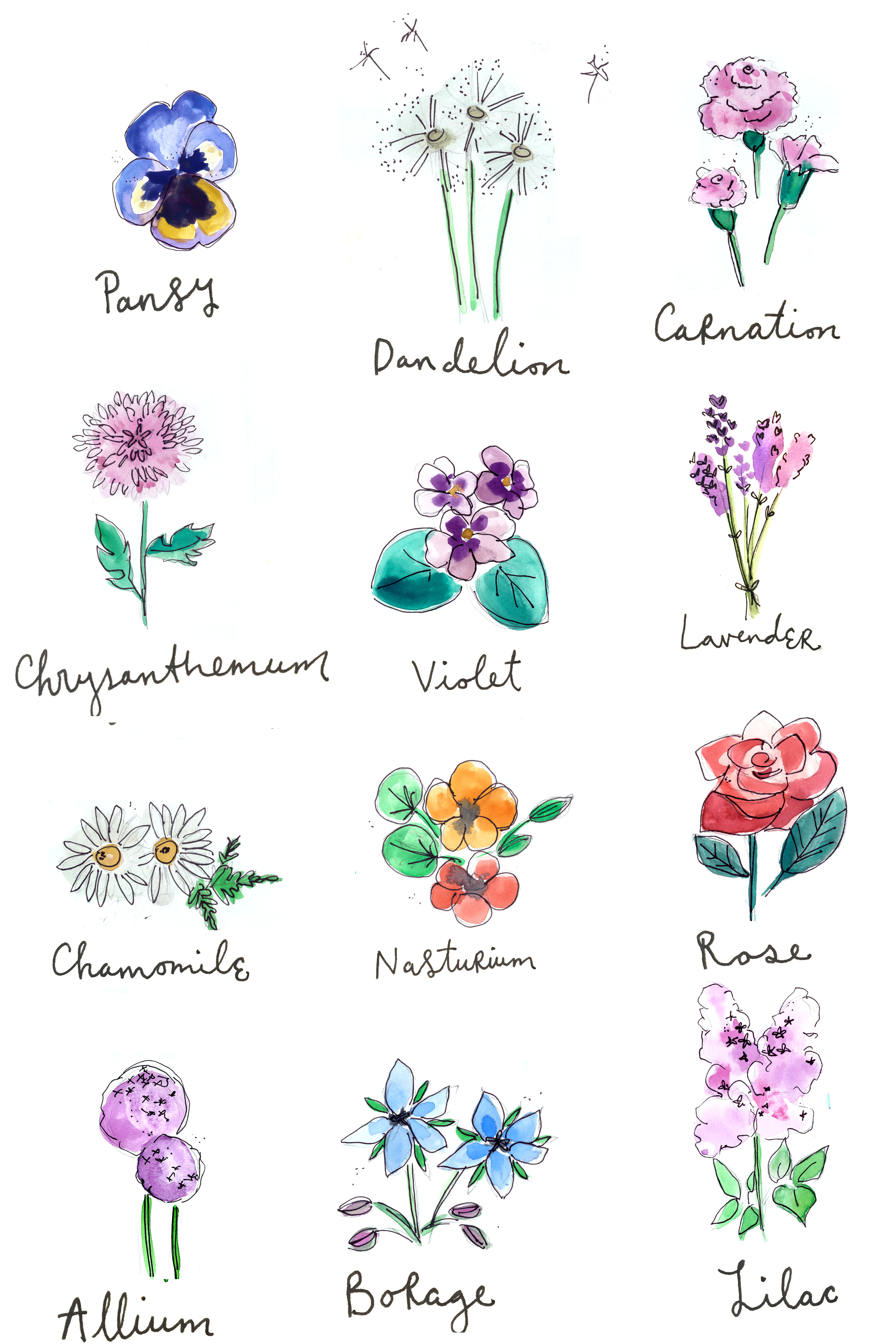 Illustration by Ashley Barlow.