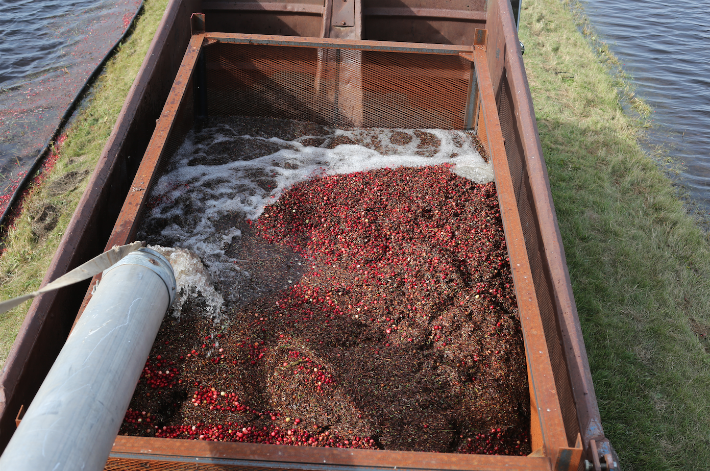 This is where the water and debris is collected and then recycled back to the land 