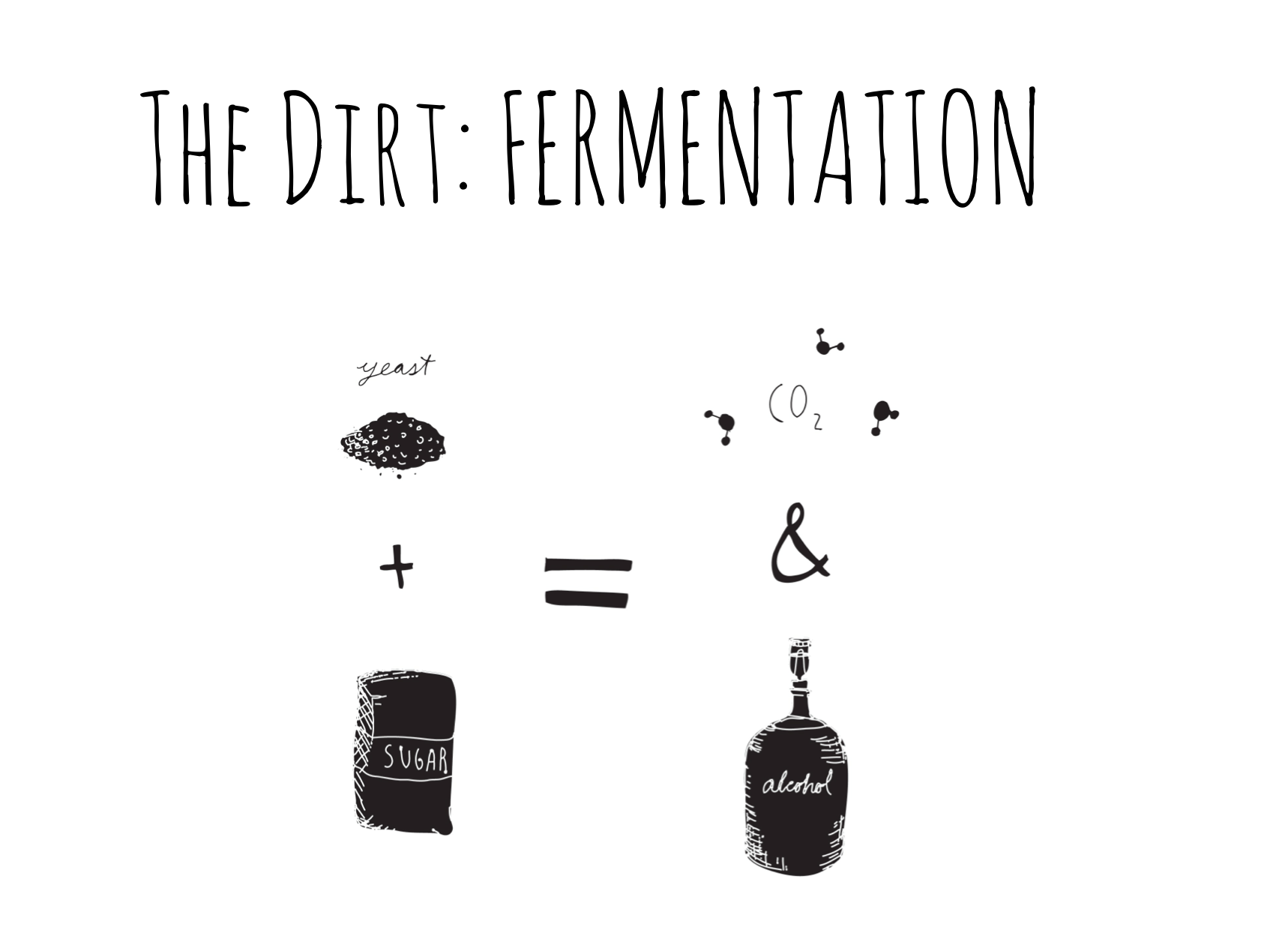Fermentation is one of the oldest known food preservation methods. The process uses bacteria and enzymes to convert carbohydrates or sugars into alcohol and organic acids. Illustration by Rachel Rolseth