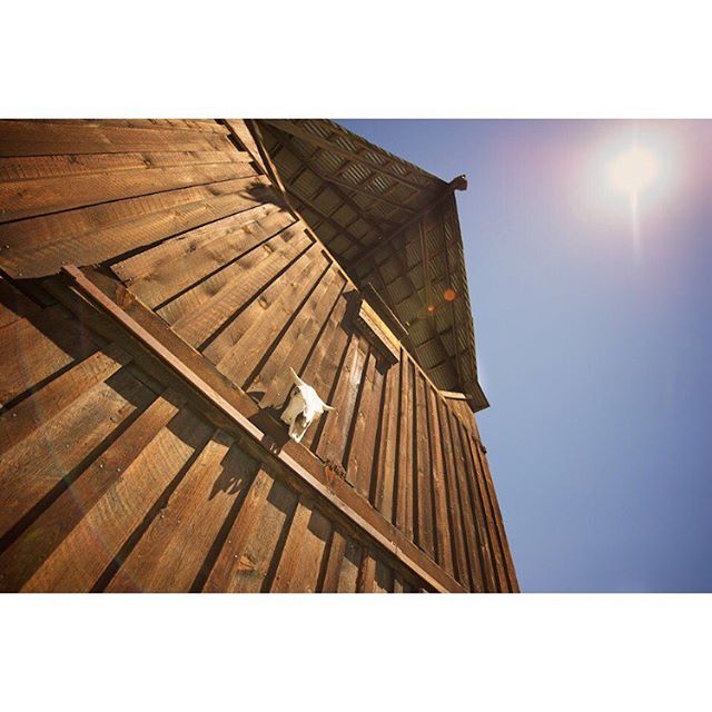 #pnw places that make this region uncommon.
________________________
@springcreeker #upperleftusa #fieldandcompass #methowvalley