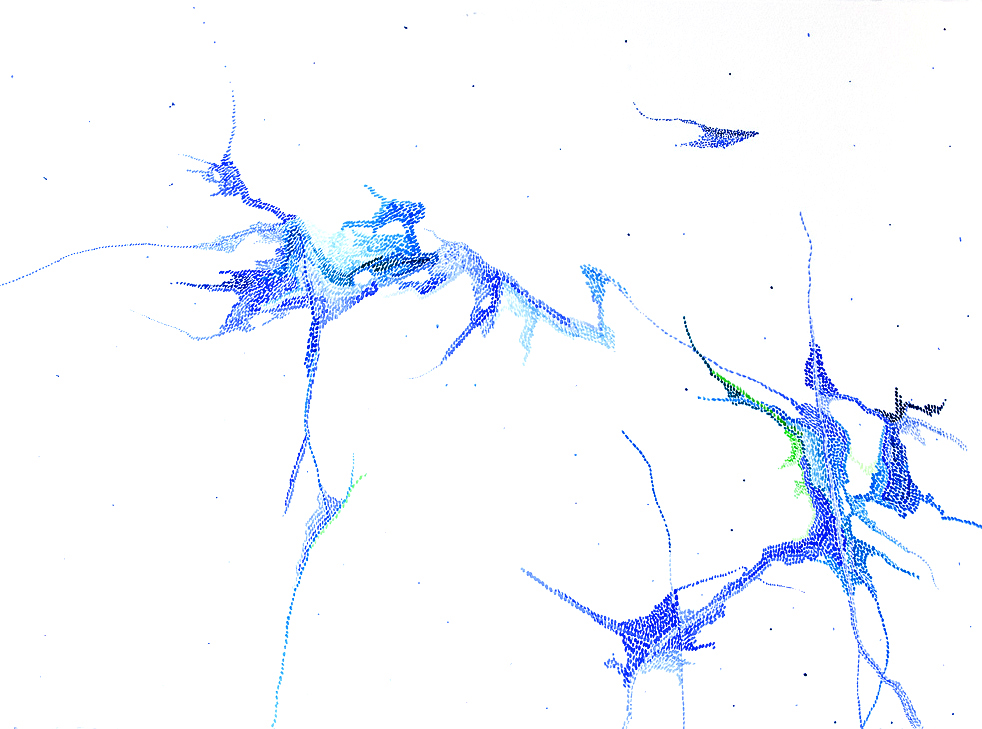 6. Kind of Blue-0061WEB.jpg