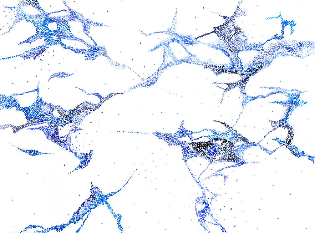 2. Kind of Blue-0063 WEB.jpg