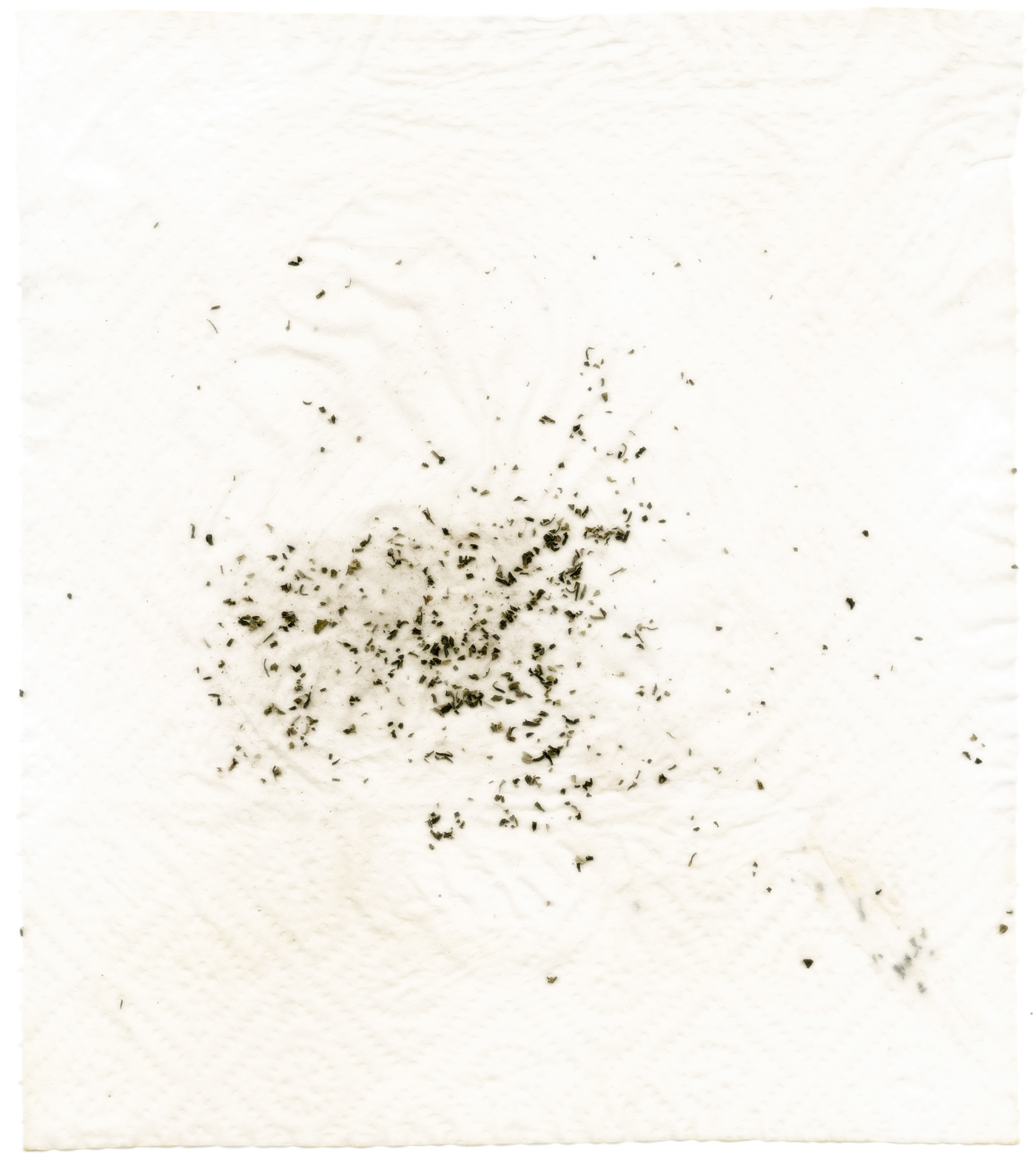 jasminetea_filter web.jpg