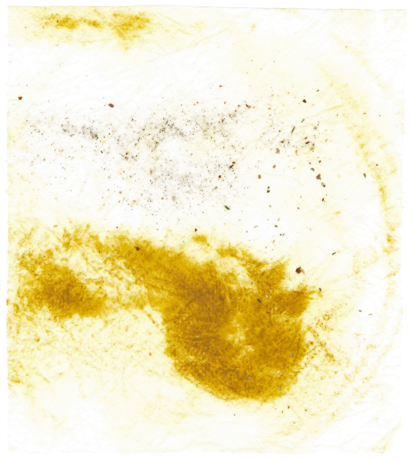 curry_filter web.jpg