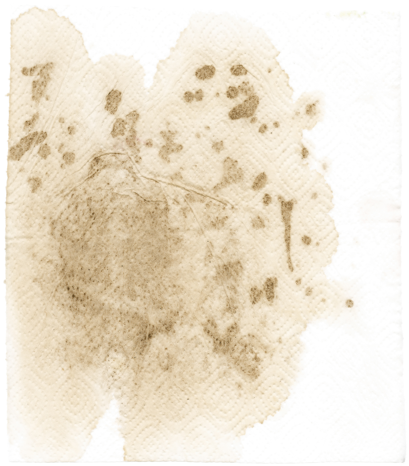 coffee_filter web.jpg