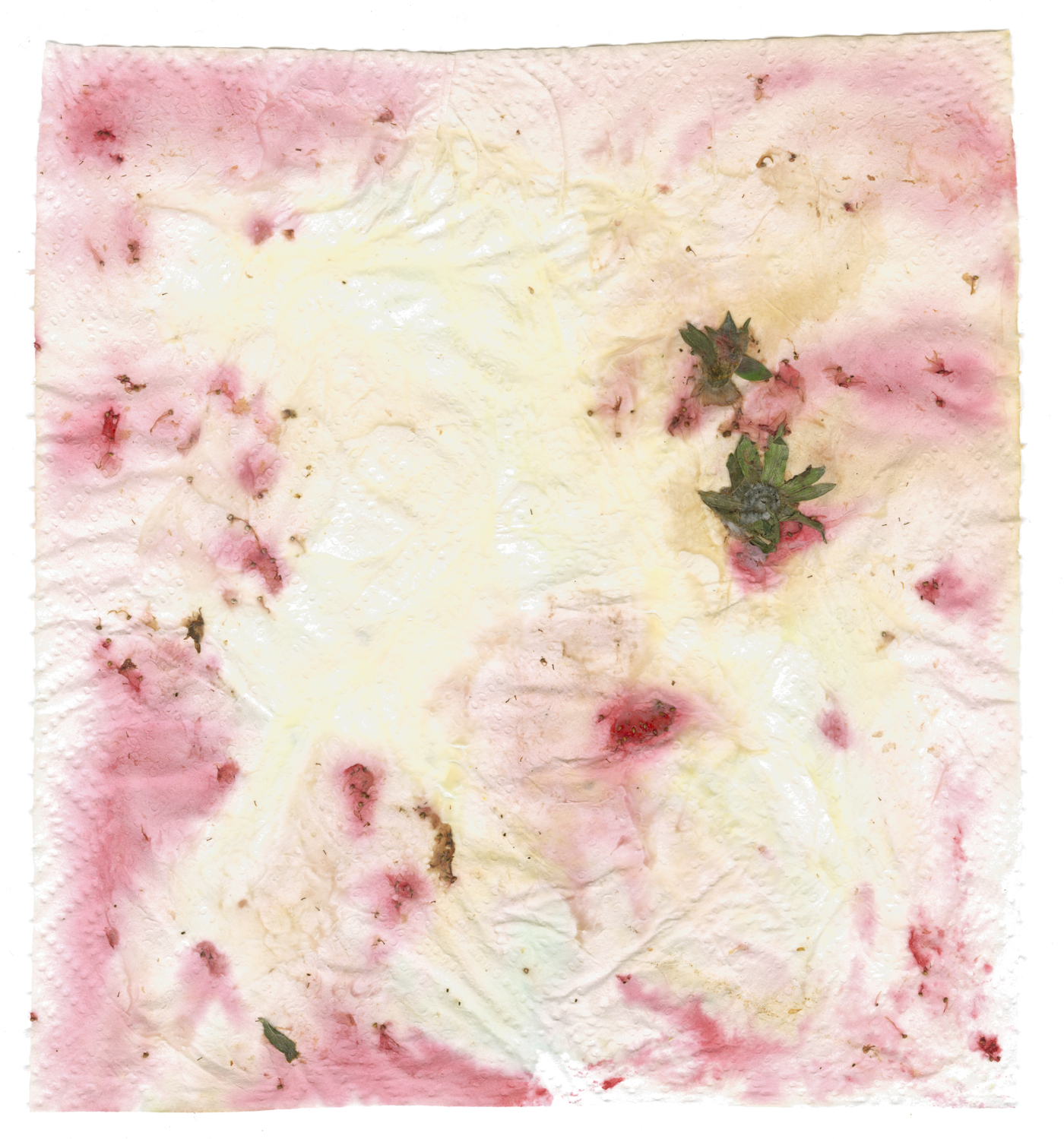 jogurt with strawberries web.jpg