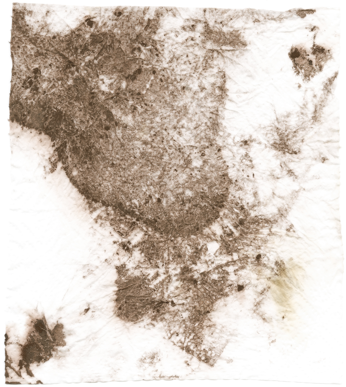 chocolate_filter web.jpg