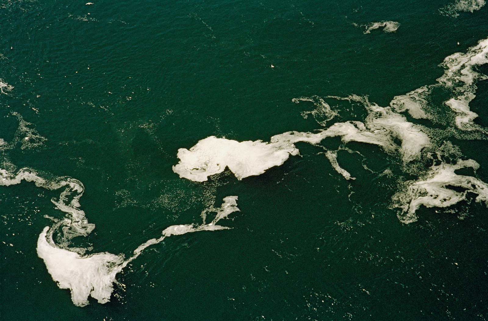 10. Floating Border_2-72web.jpg