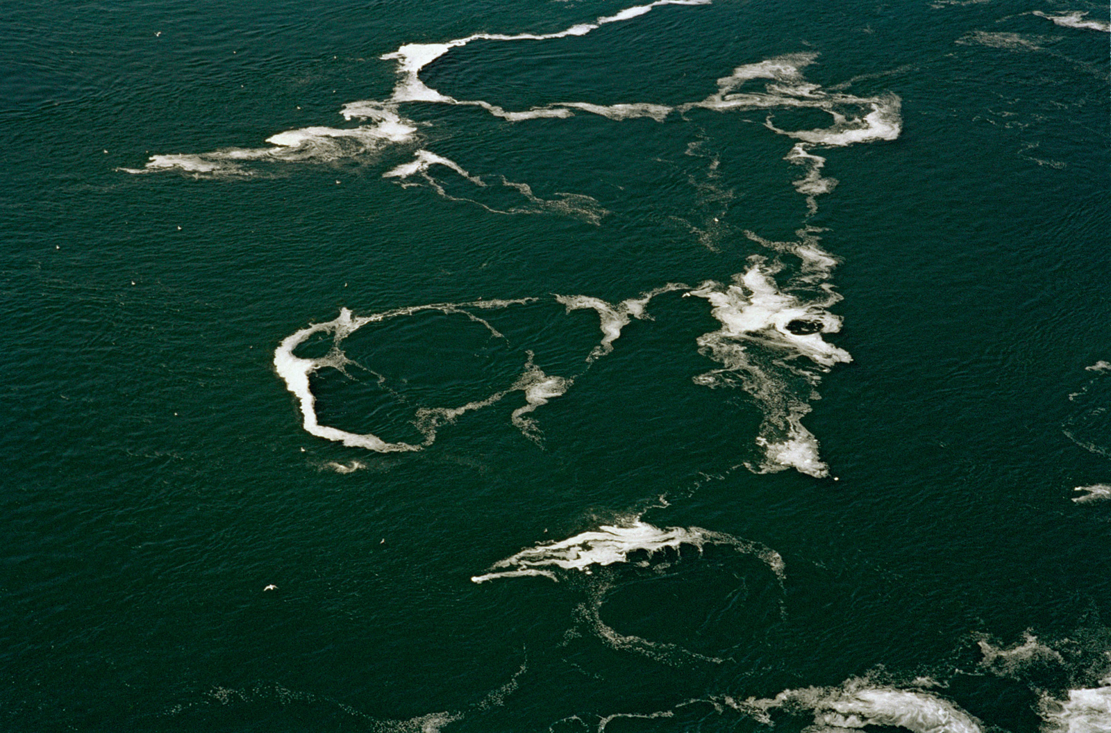 12. Floating border_1-72web.jpg