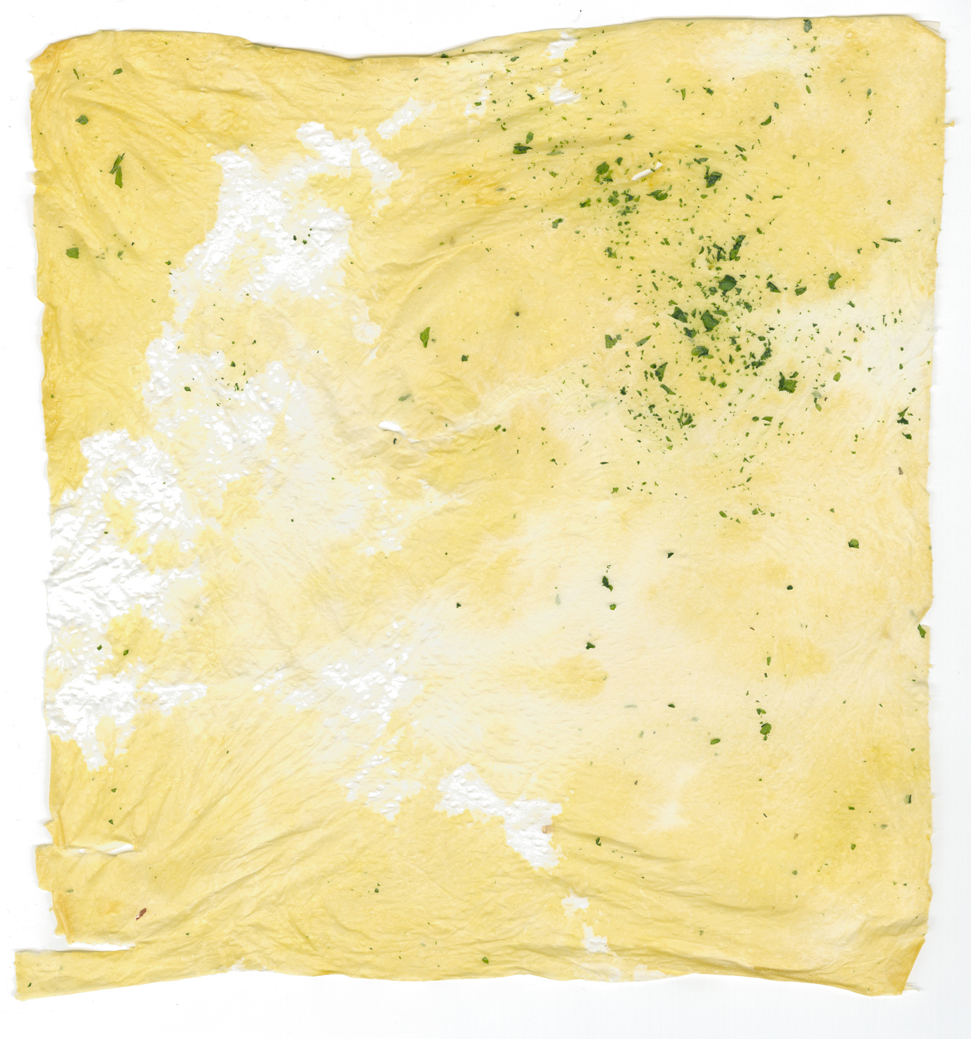 omelet web copy.jpg