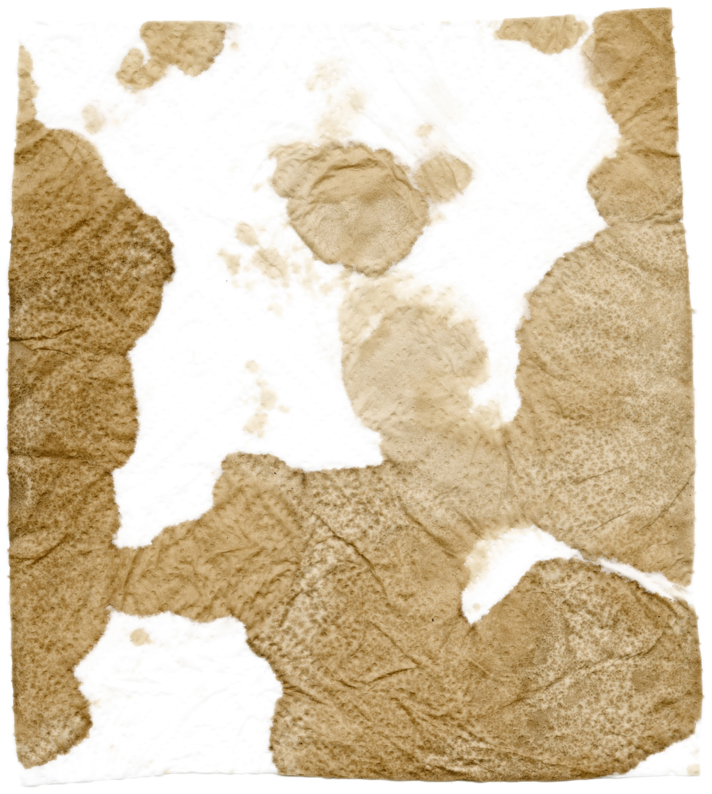 soysauce_filter web copy.jpg