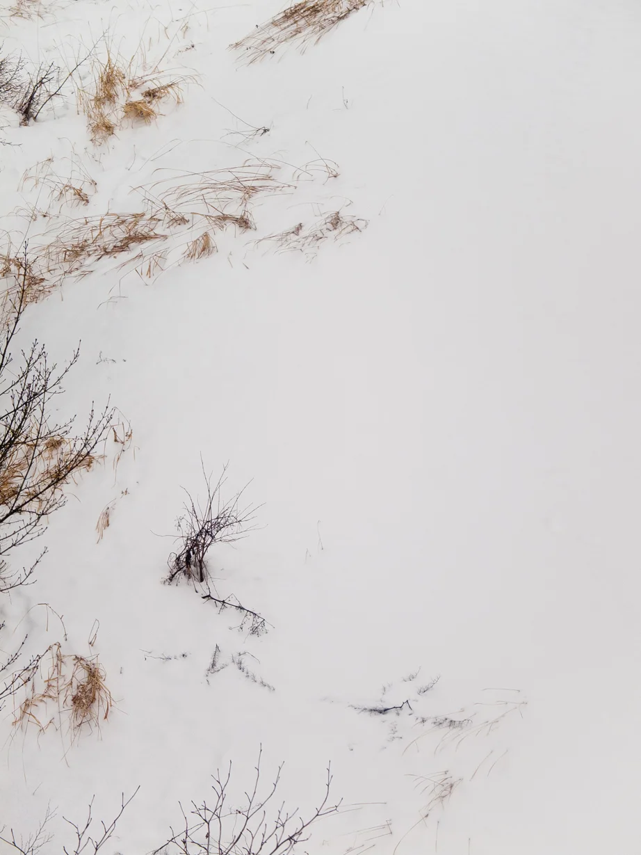 Mizuka-snowWEB_2.jpg