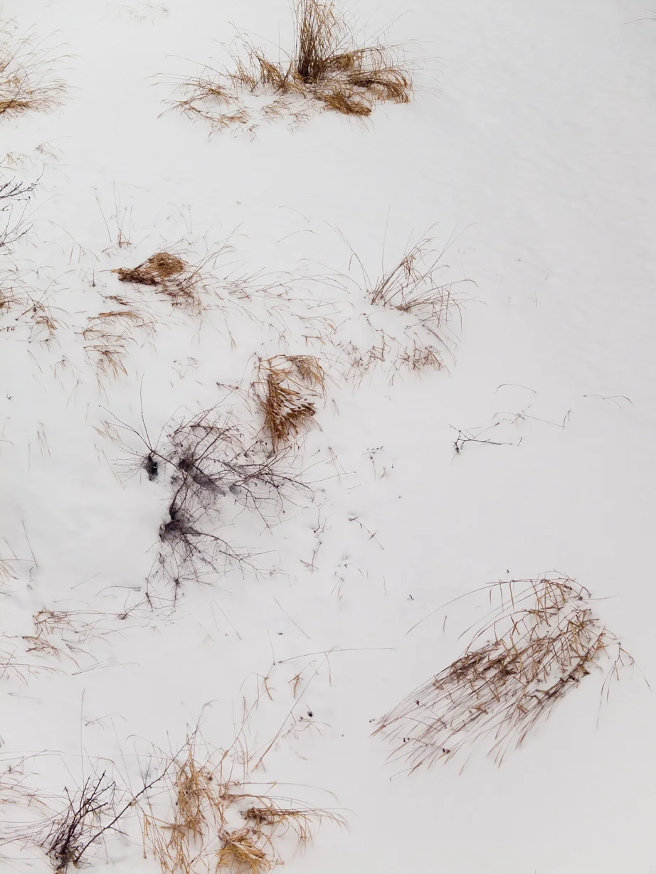 Mizuka-snowWEB_1.jpg