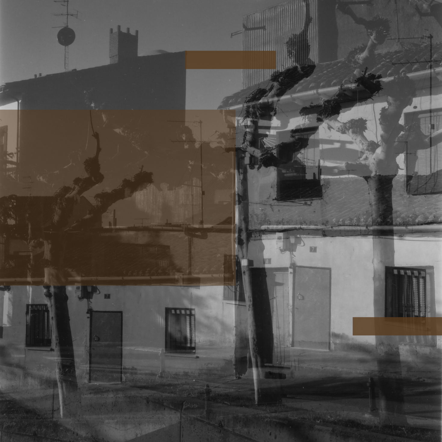 treesilloquet.12 and b_shapes-square.jpg