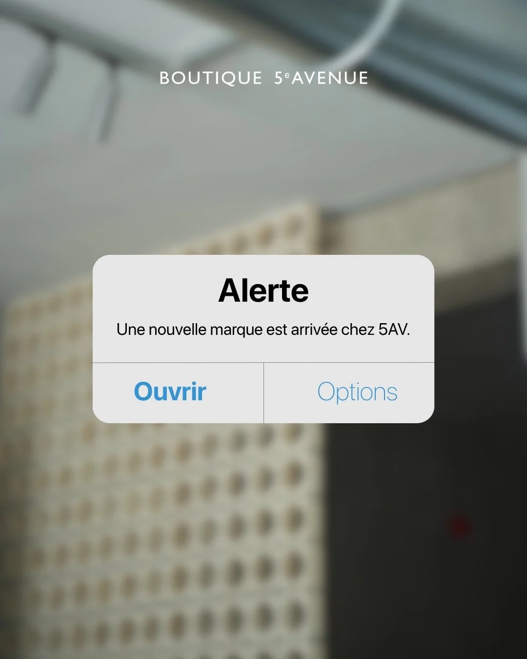 Alerte &agrave; la nouvelle marque ! 🚨

Les rumeurs sont vraies : Meimeij est maintenant disponible chez Boutique 5e Avenue. Silhouettes architecturales et sophistication complexe : la marque italienne fait ses d&eacute;buts en ligne comme en boutiq
