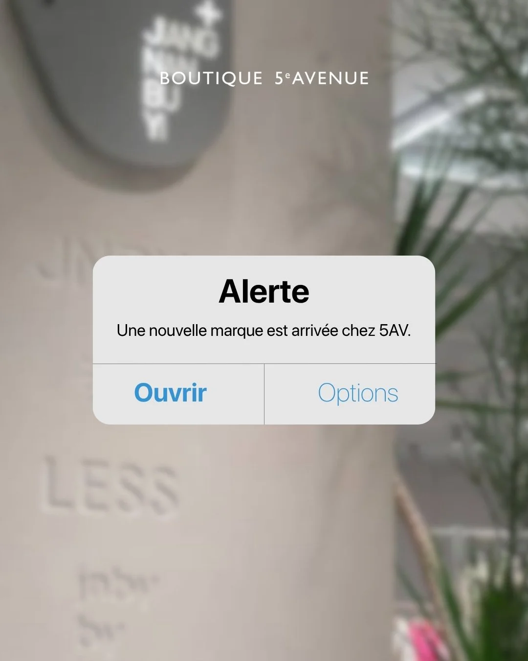 Alerte &agrave; la nouvelle marque ! 🚨

JNBY est arriv&eacute;e en boutique, juste &agrave; temps pour la saison des terrasses. Avec une allure &eacute;quilibr&eacute;e entre modernit&eacute; et s&eacute;r&eacute;nit&eacute;, la marque propose une p