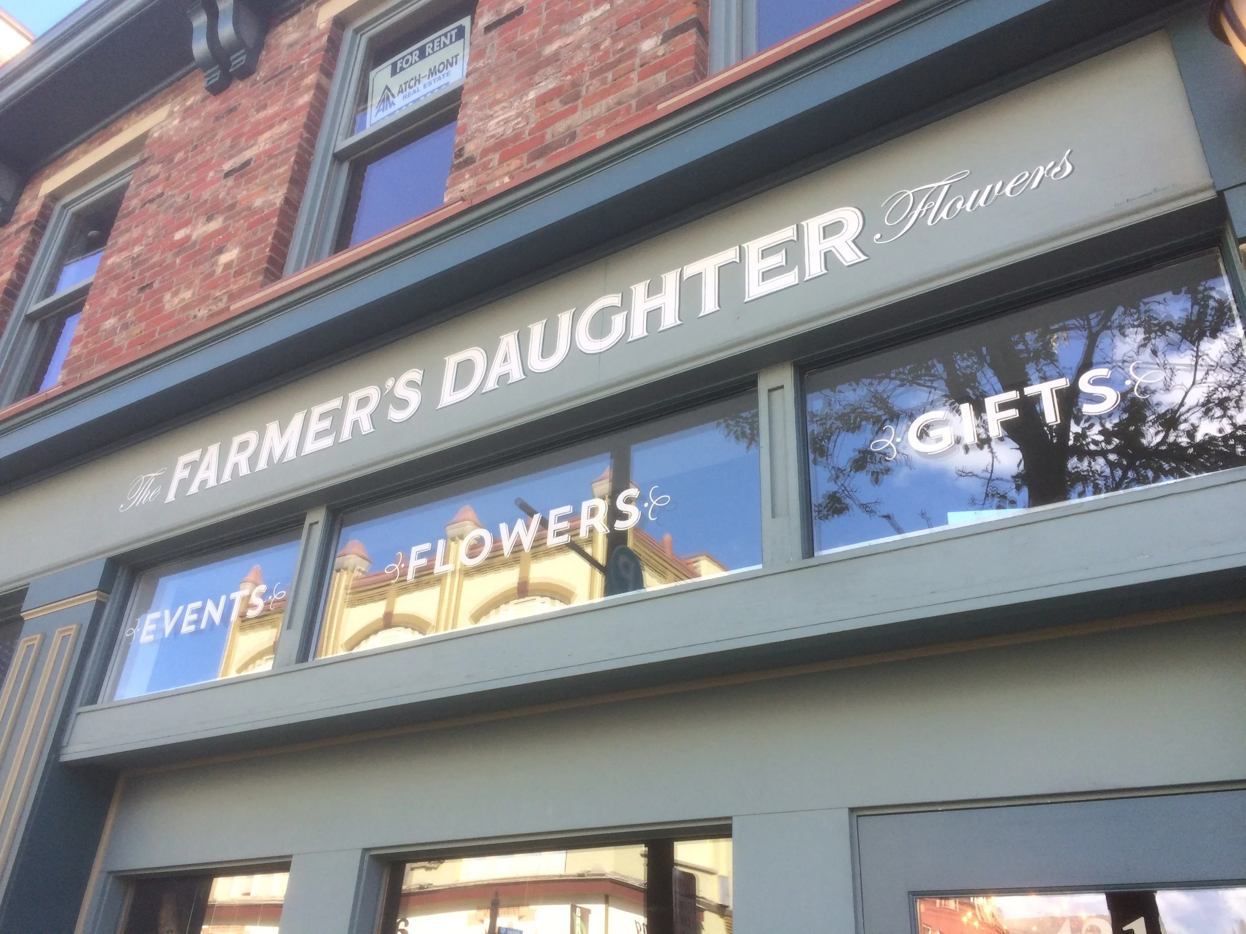 Farmer's Daughter flowers