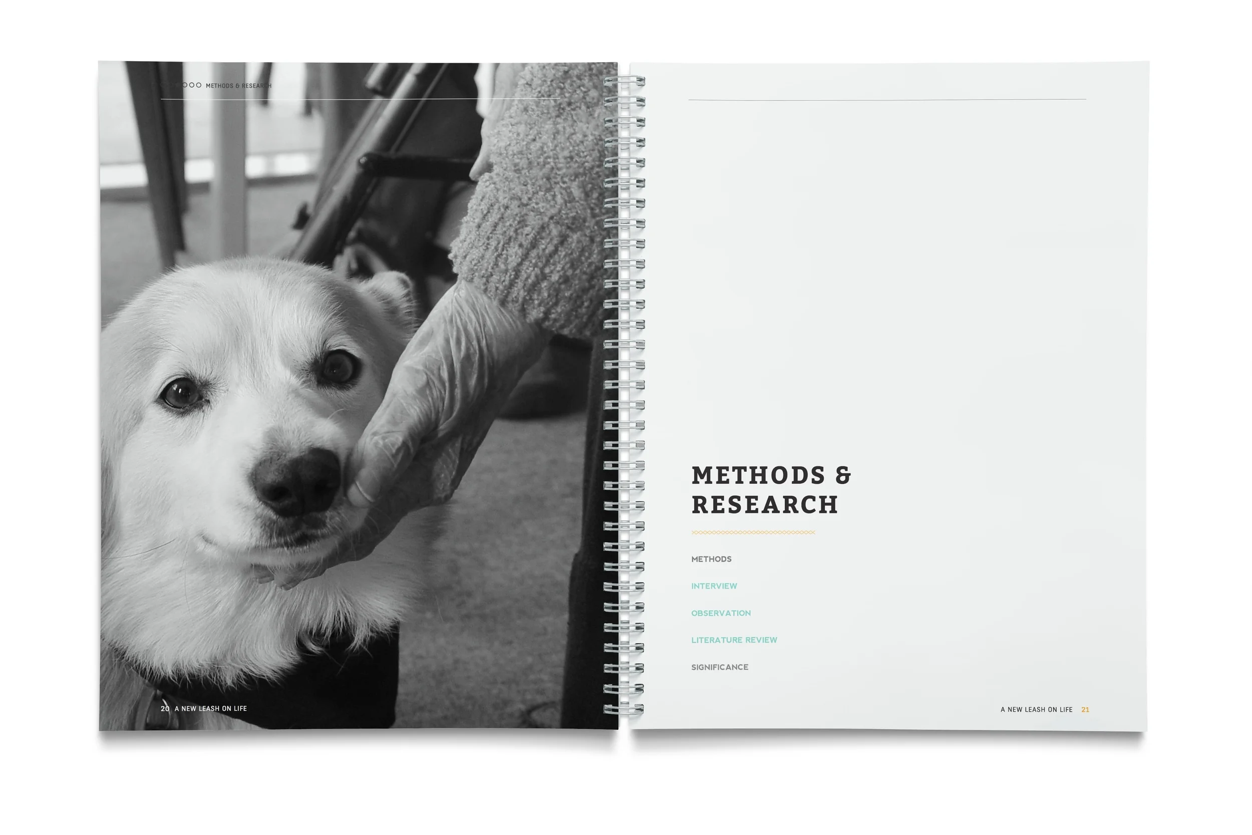 Booklet 0275 2014-06-11_9.jpeg