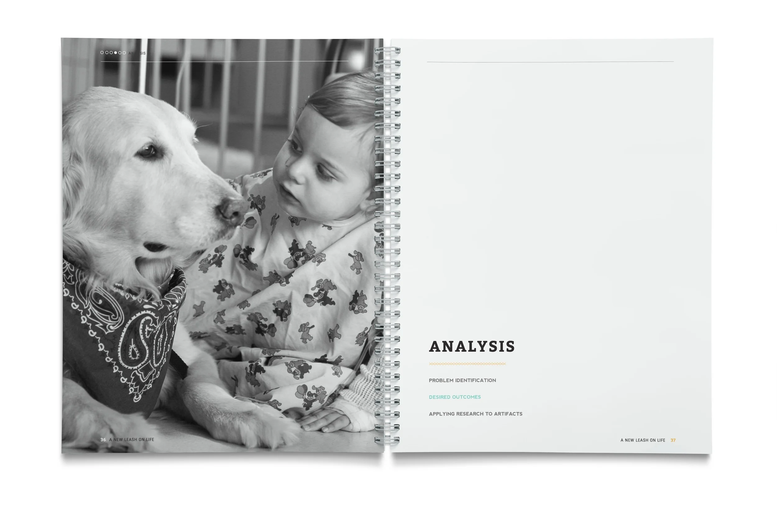 Booklet 0275 2014-06-11_17.jpeg