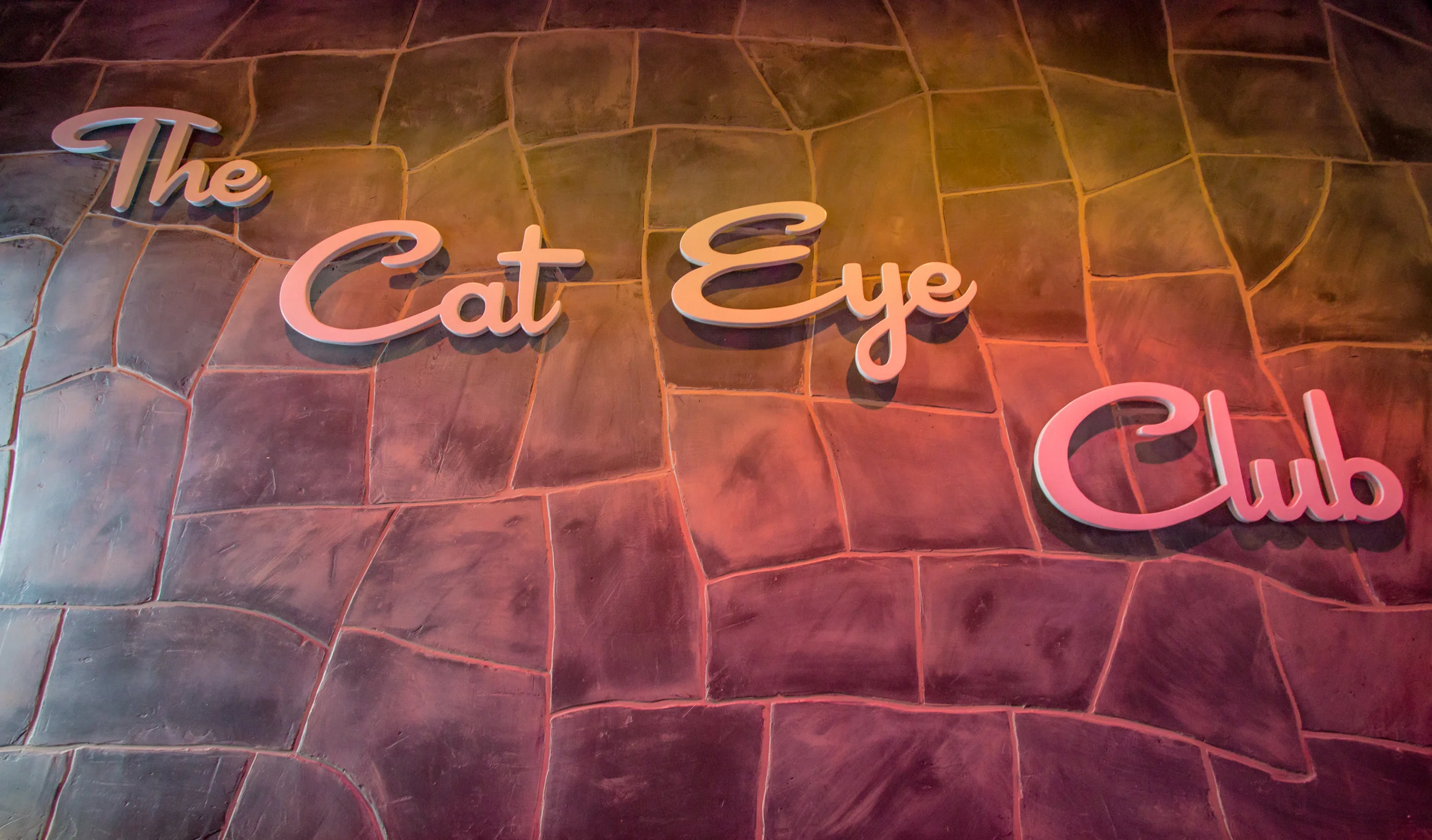 cat eye venue shoot-282.jpg