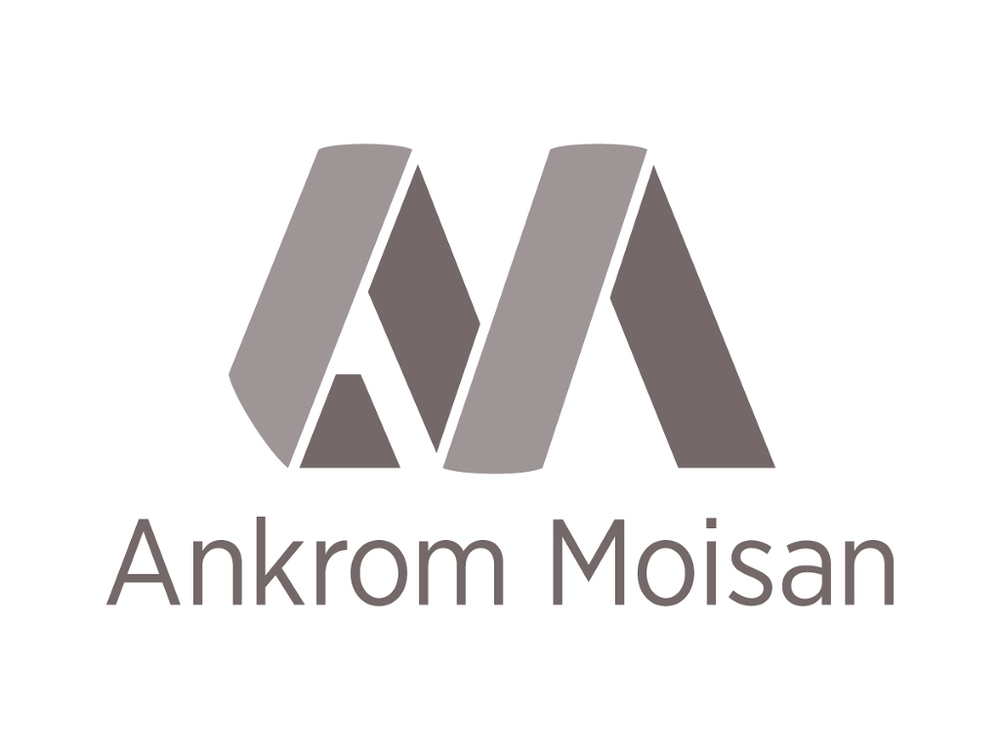 AnkromMoisanLogo.jpg