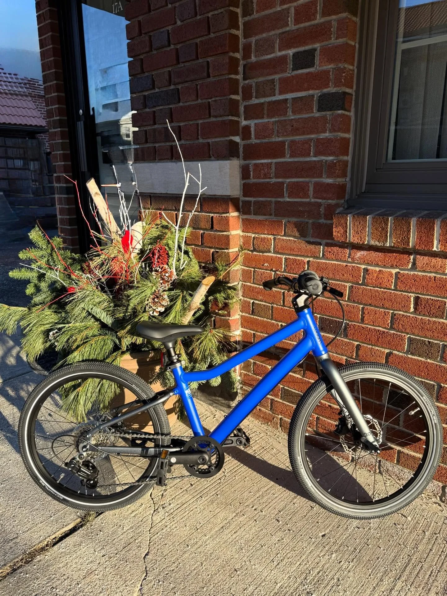 Oooo this blue is nice! The  @woombikesusa Explore 4 super light bike rides smooth and steady. Handy kickstand included! 

#pedalmontclair #woombikes #kidswhoride #morekidsonbikes #goplayoutside #supportyourlocalbikeshop or your favorite!