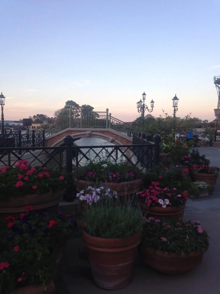 Damn Epcot you're nice to look at.