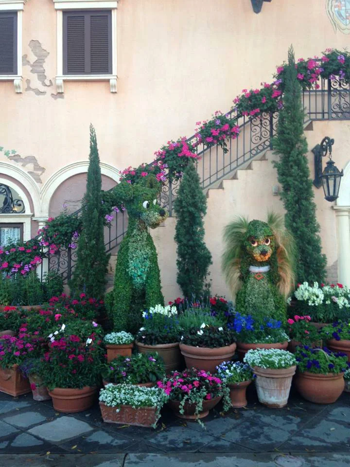 We were in Disney for the Flower and Garden festival. We also did an easter egg hunt meant for kids and found it very difficult. 