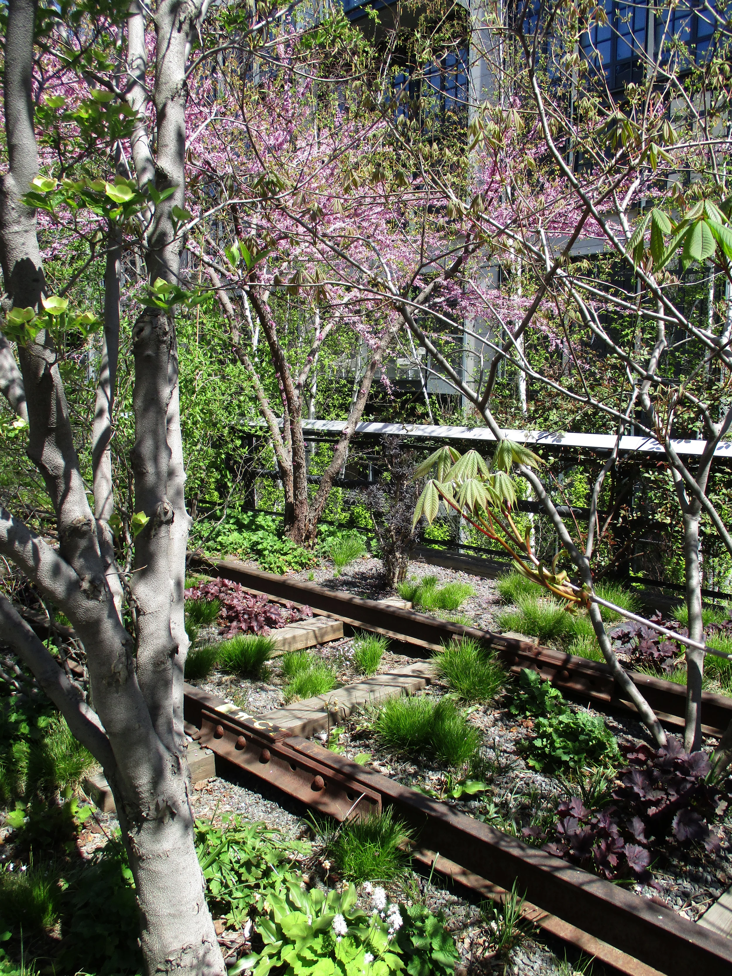 The High Line with all the Spring blossoms. 