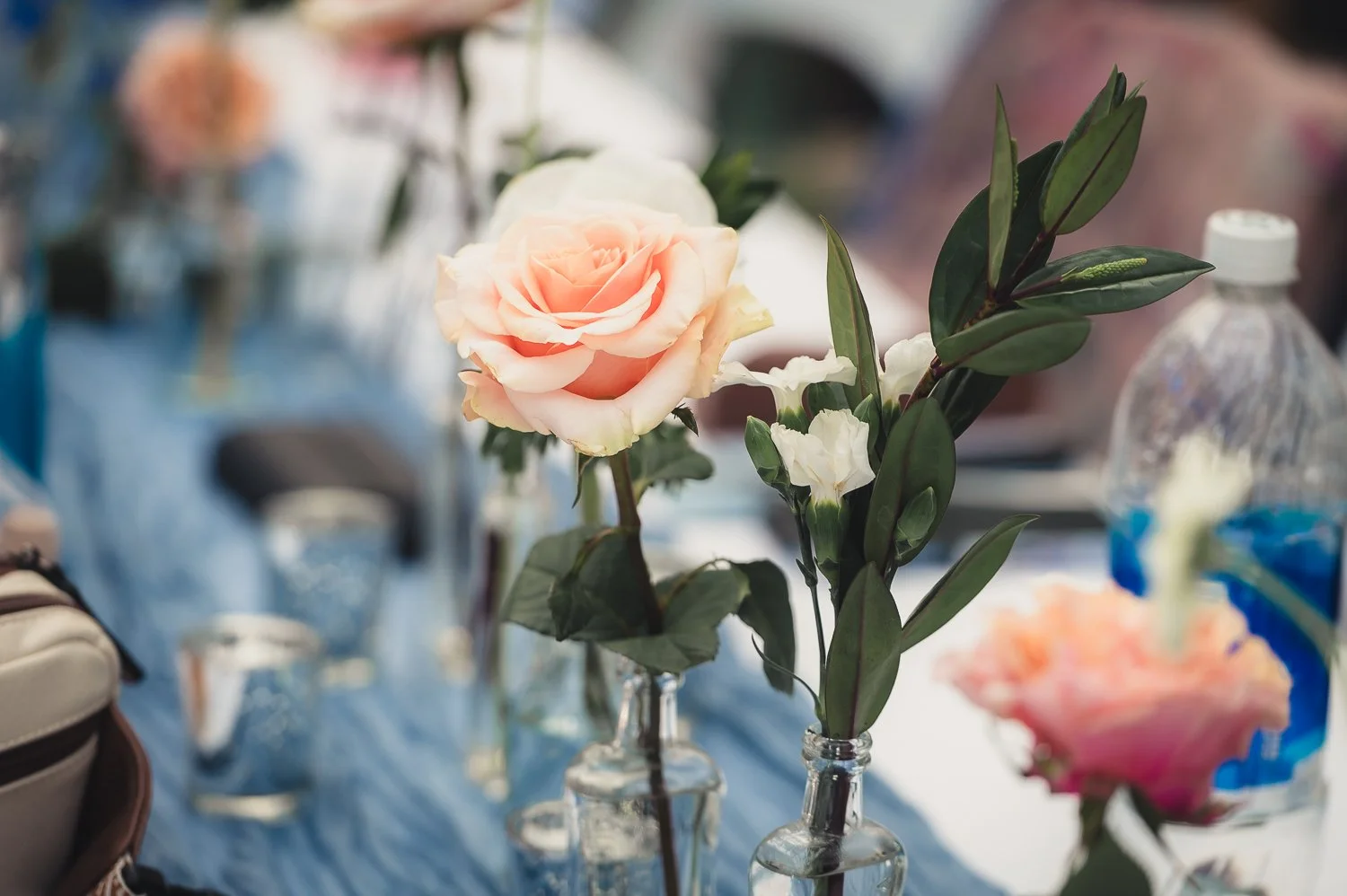 megan_ryan_web_kevkramerphoto-048.jpg