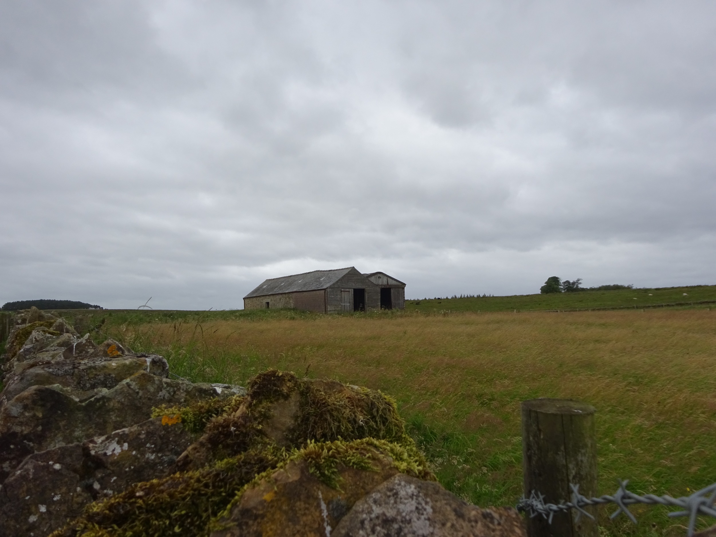 lovely old shed