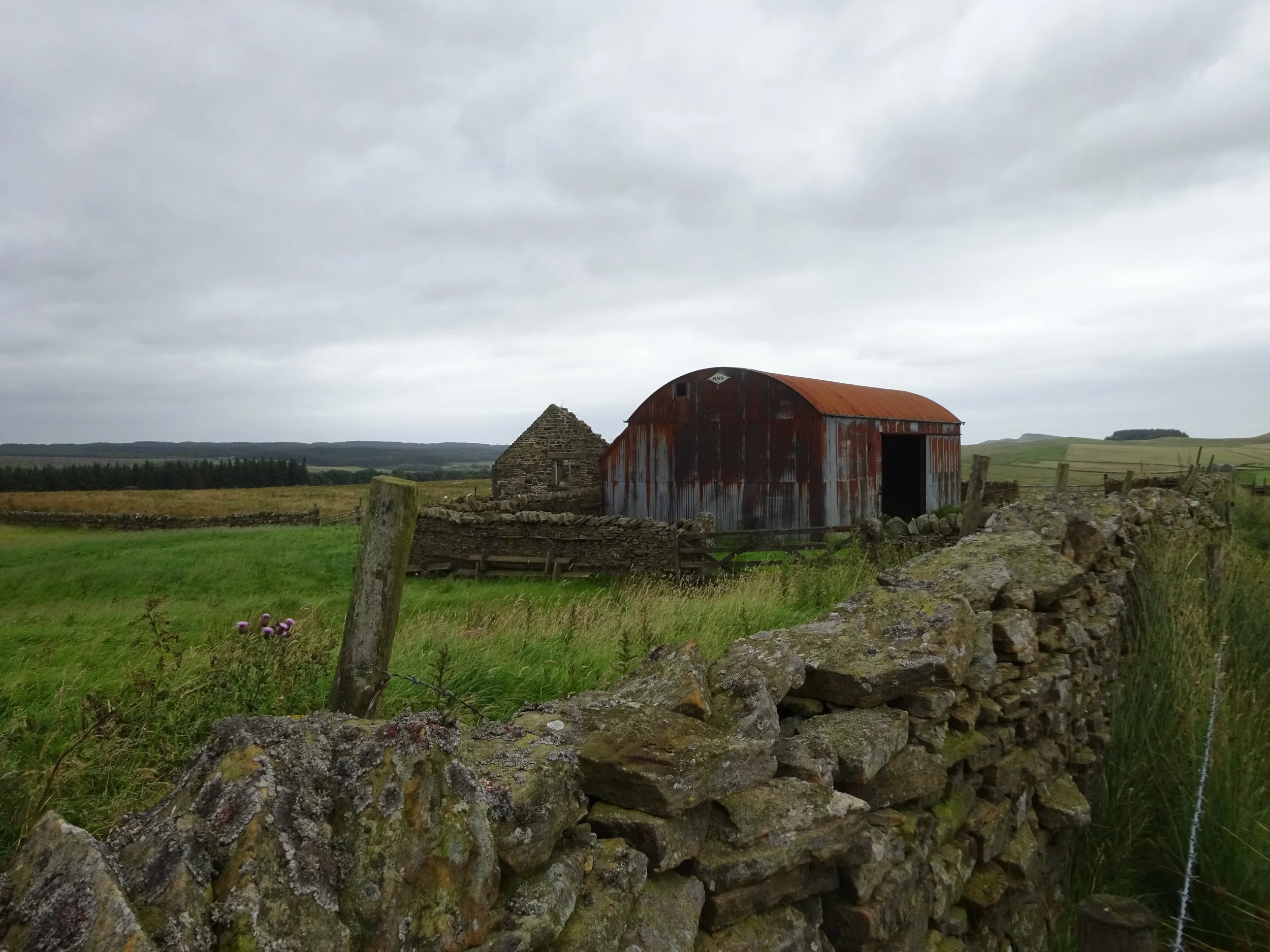 I LOVE this rusting shed!