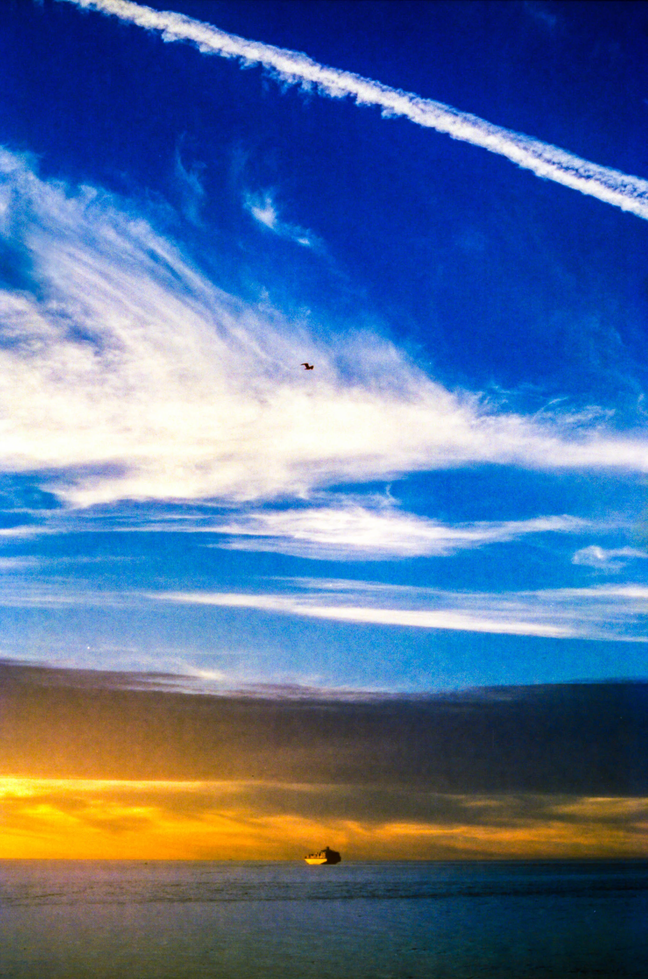 Color_7_resize.jpg