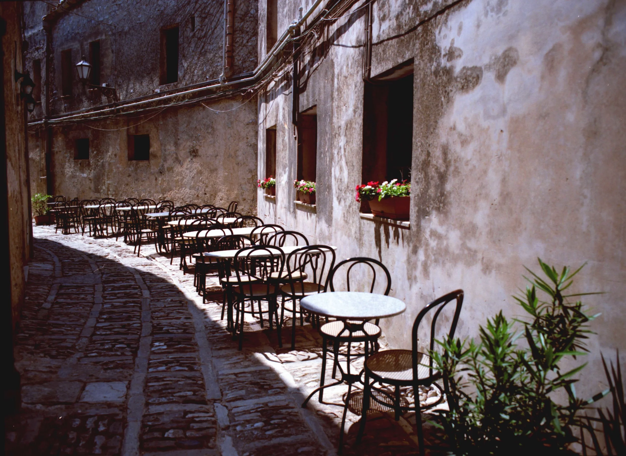 Color_20_resize.jpg