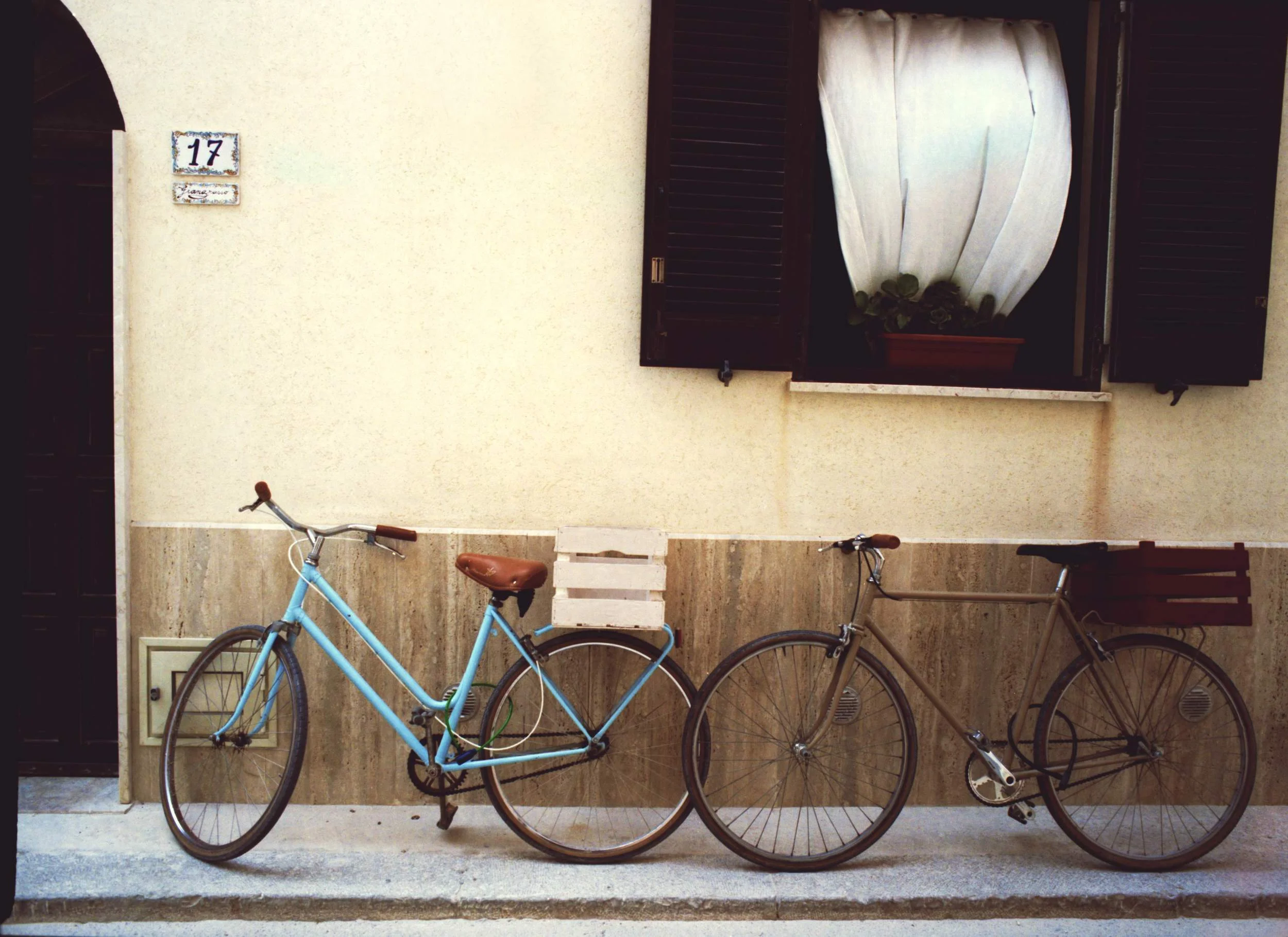 Color_22_resize.jpg