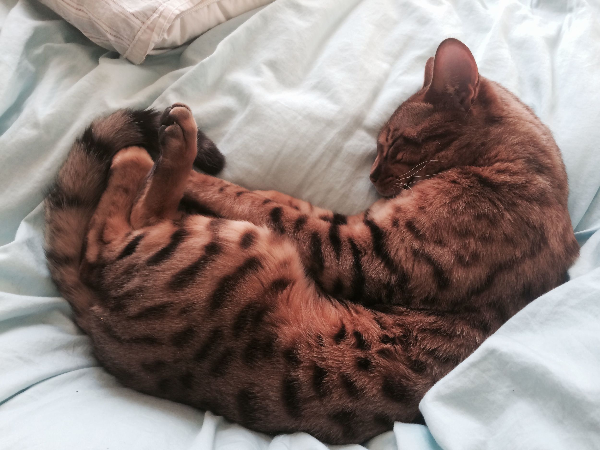 This is his pose, not pictured, two people giving him ALL the room.