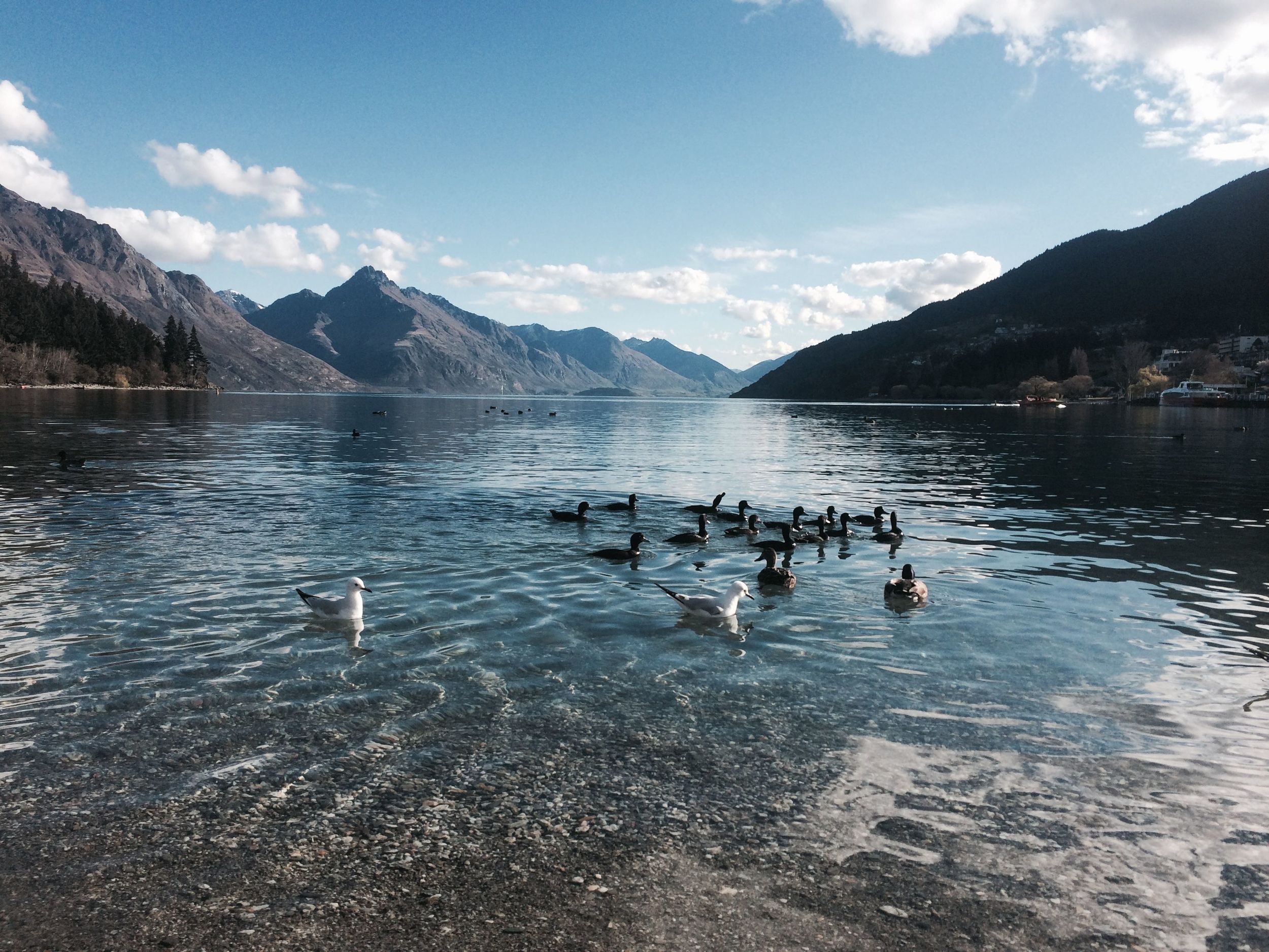 The lake in Queenstown is surrounded by steep mountains. The beach is right on the edge of town and is ringed by swanky pubs and places to eat.