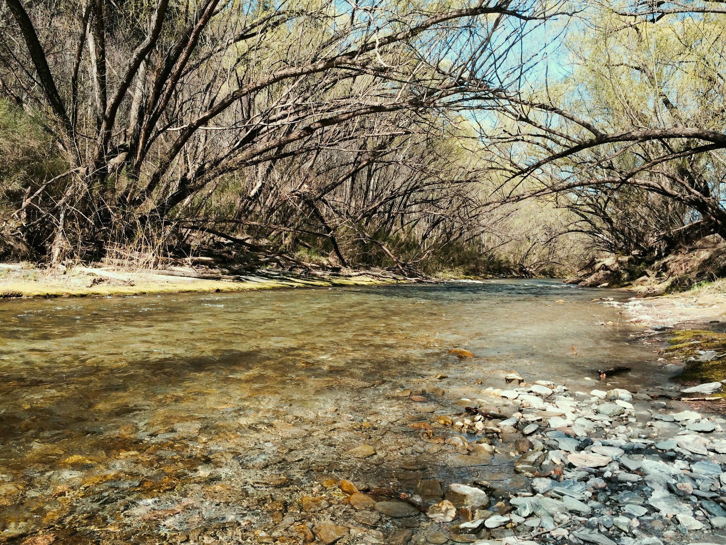 Stream from the path.