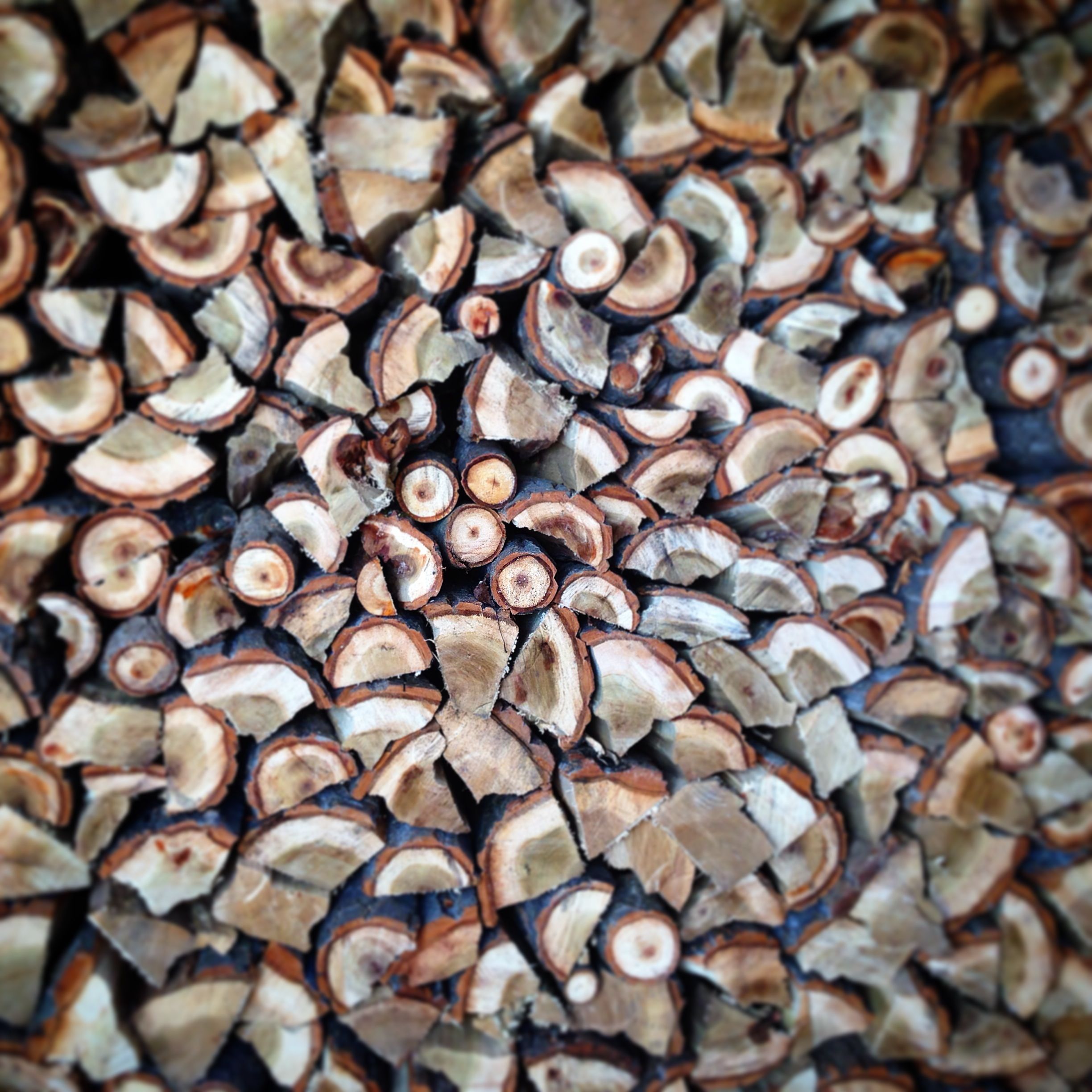Wood, wood, and more wood...wood.