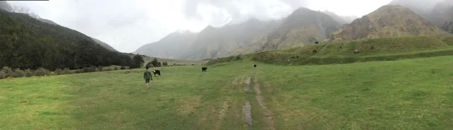 Hiking back to the car under watchful bovine eye.