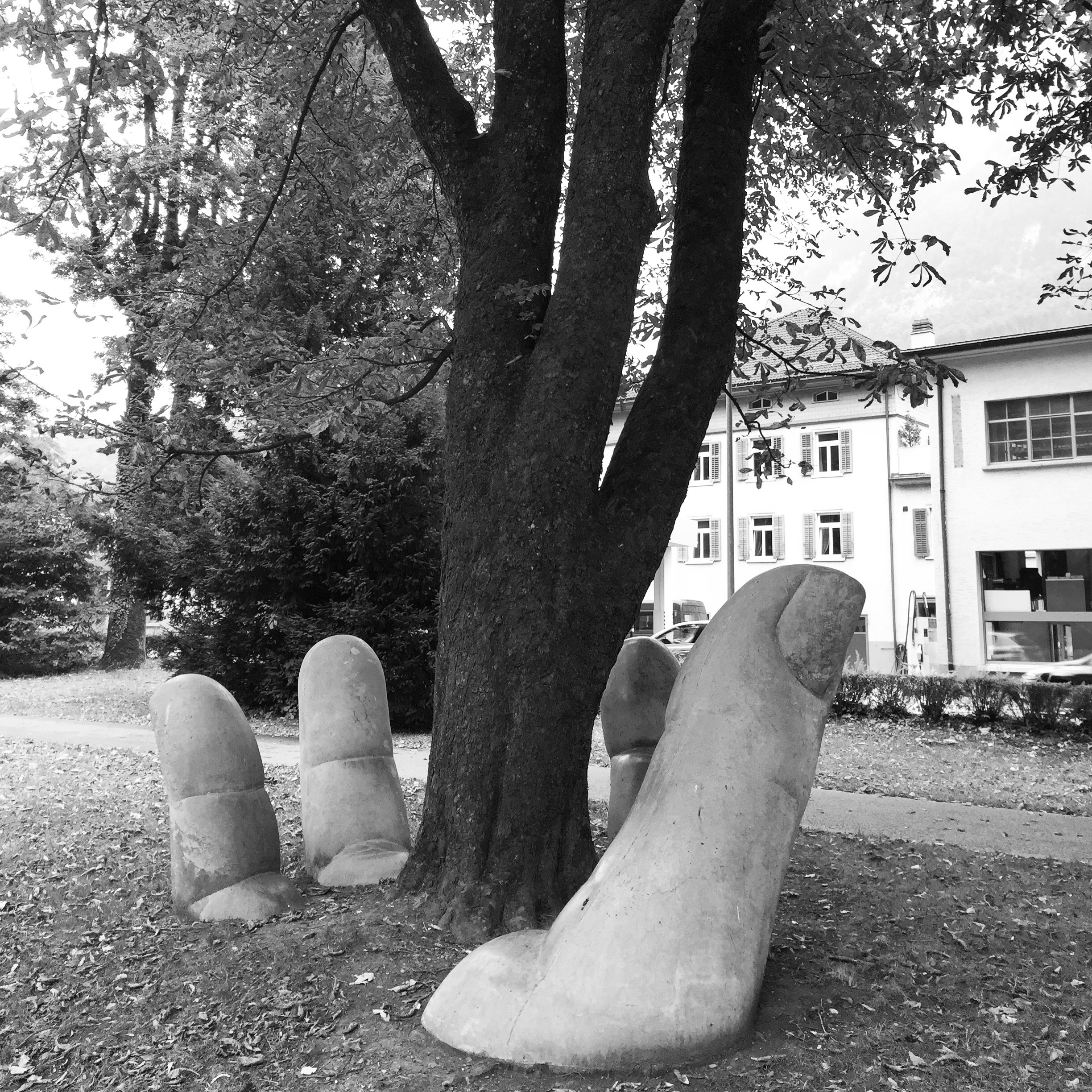  'Der Baum in der Hand', street art in Glarus.&nbsp; 