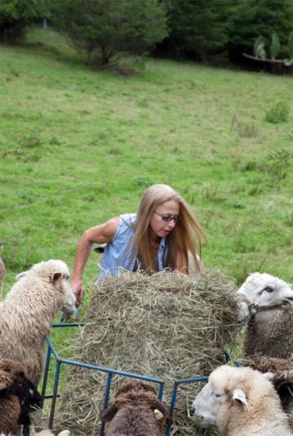 Yarns & Wool — BERKSHIRE FOOD + TRAVEL