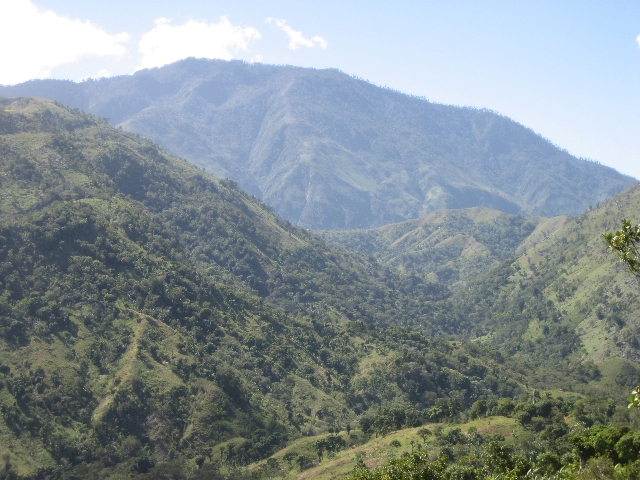 THE COFFEE ORCHARDS OF GRAND-ANSE, HAITI, WITH PIC MAYA IN THE BACKGROUND