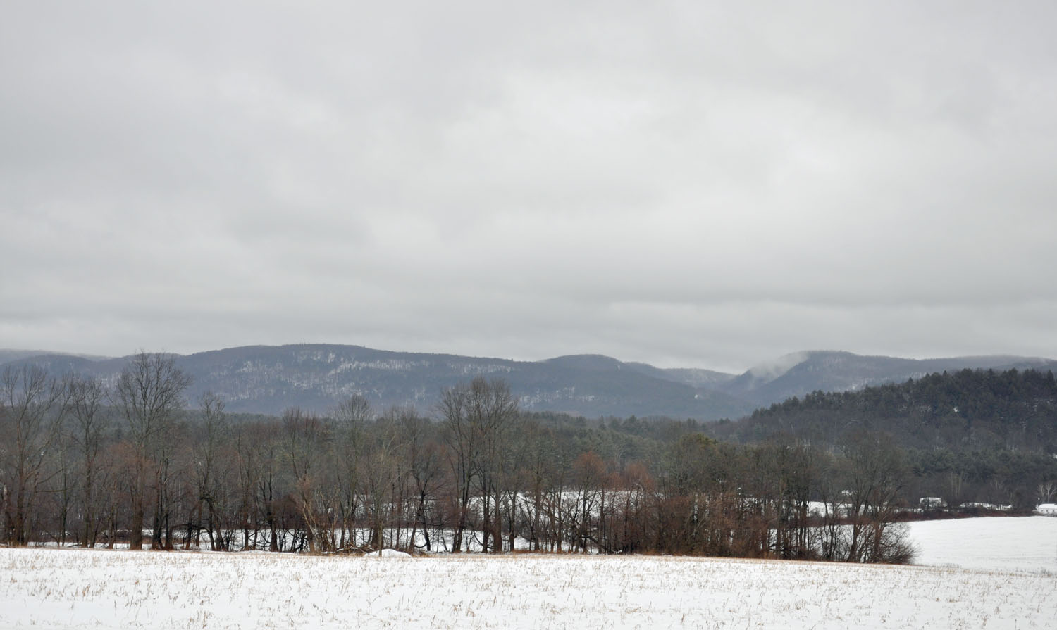 VIEW FROM HIGH LAWN FARM 