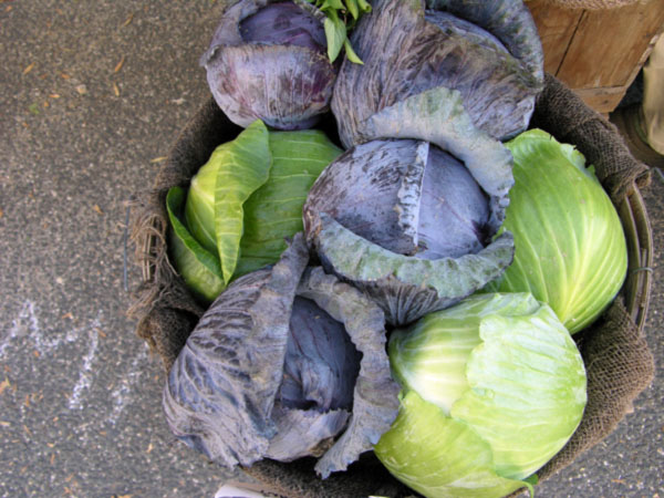 market-cabbage.jpg